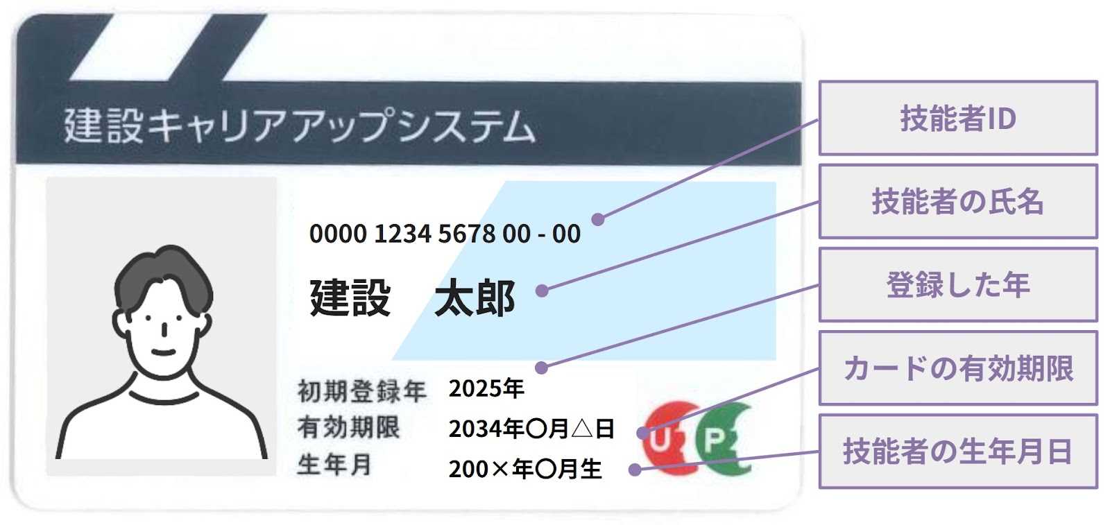 キャリアアップカードの見た目は下図の通り、免許証のような写真付きカードです。